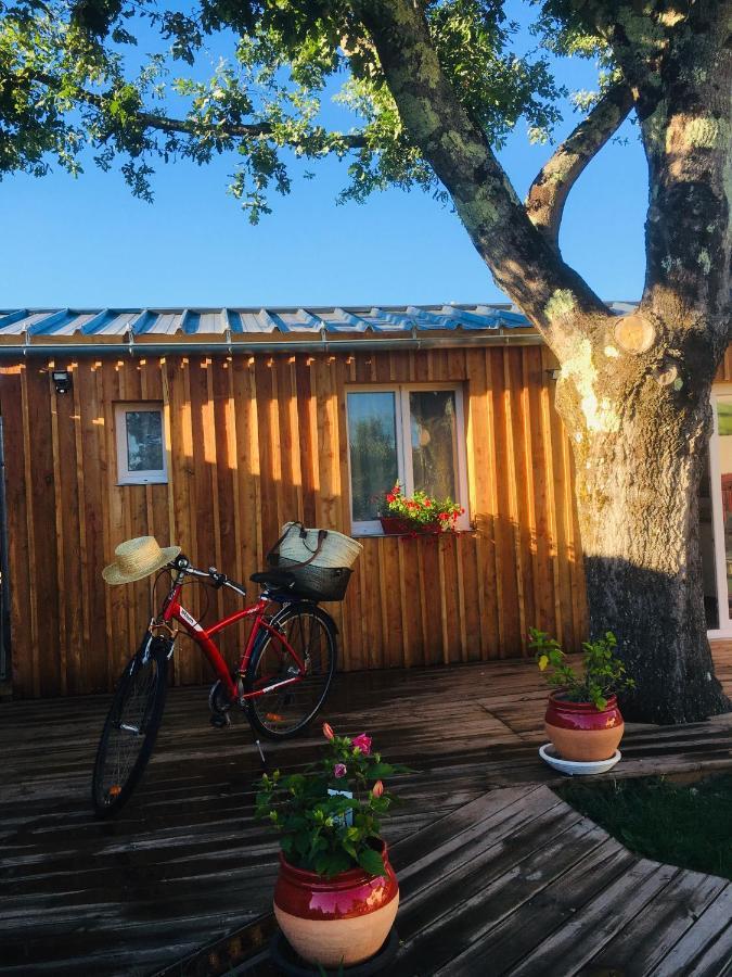 Les Petits Chalets De Kzo Ла-Тест-де-Бюш Екстер'єр фото