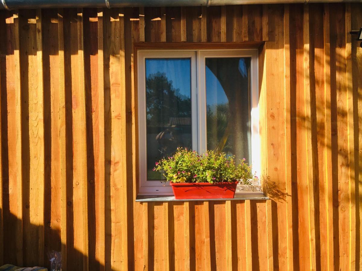 Les Petits Chalets De Kzo Ла-Тест-де-Бюш Екстер'єр фото