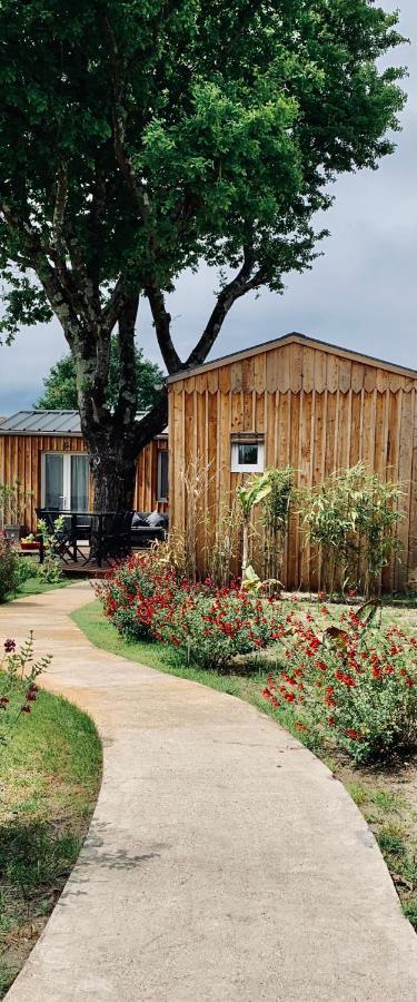 Les Petits Chalets De Kzo Ла-Тест-де-Бюш Екстер'єр фото